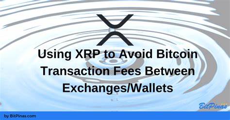 Using XRP to Avoid Crypto Transaction Fees Between Exchanges & Wallets - BitPinas