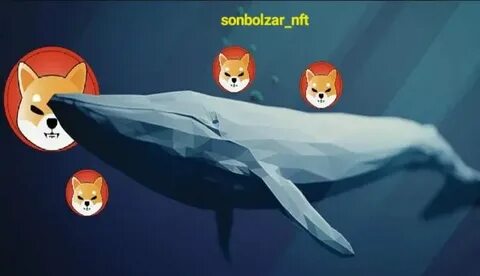 Whales Shift from Shiba Inu to AI Coin with 10x Potential, Ripple Shows Buy Signal - TCU
