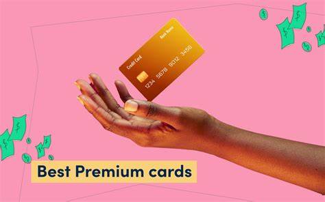 Premium Credit Cards Are Getting Pricier. Do the Perks Match the Fees?