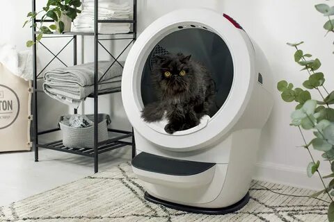 Litter-Robot 4 Vs. 3 Connect: How They Compare After Cat-Testing - Forbes