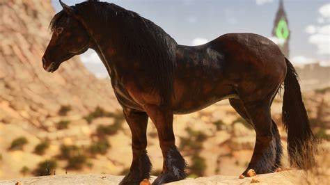An All-Around Better Horse