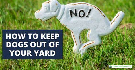 How to Keep Dogs Out of Your Yard