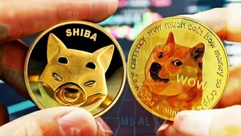 Shiba Inu meme cryptocurrency poised to eat Dogecoin's lunch