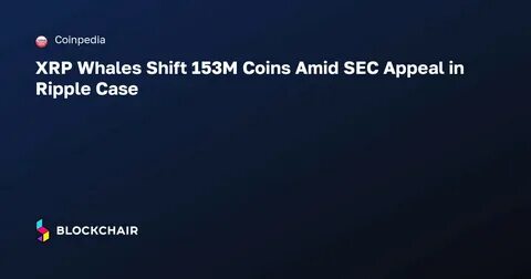XRP News Today: SEC Appeal Outcome Holds Key for XRP as BTC-Spot Inflows Impress - FXEmpire