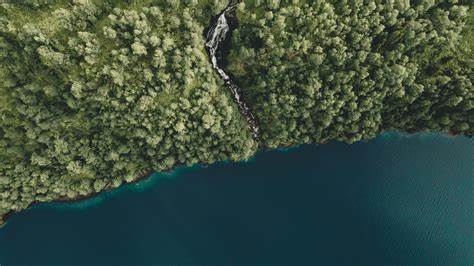 Gulesider.no - Oppdag nærheten