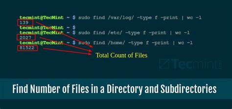 Why doesn't the file system tell you the number of files in a directory? (2009)