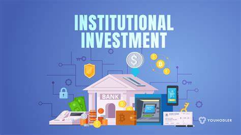 The Impact of Institutional Investors on Bitcoin