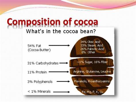 Cocoa Basics Part Zero: Introduction