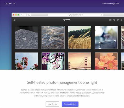 Lychee – Self-hosted photo-management done right