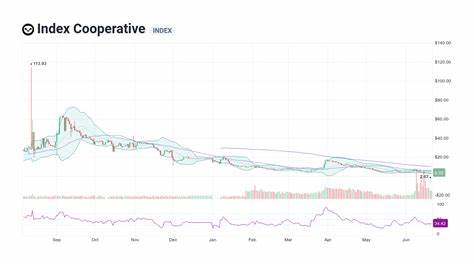 Index Cooperative Price: INDEX Live Price Chart, Market Cap & News Today - CoinGecko Buzz