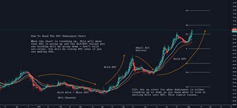Bitcoin and crypto market holds steady as trade war tensions wipe post-CPI rally