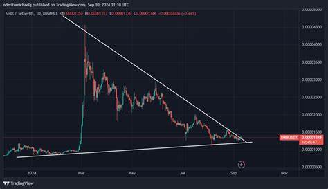 Assessing Shiba Inu’s 20% price gain potential on the charts