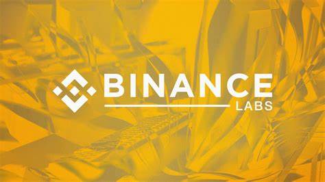 Binance Labs Puts $10 Million Into Radiant Capital to Expand to Other Chains - Decrypt