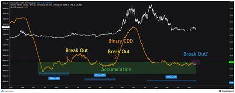 Analyst Forecasts Bitcoin Bull Run Top With Historically Proven Indicator - NewsBTC