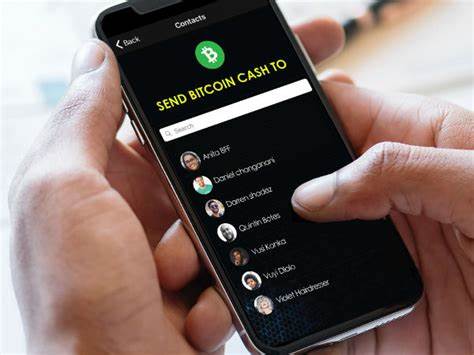 Top 7 Best Bitcoin SV (BSV) Wallets to Use in 2021 - Changelly