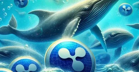 Why This Whale Moved 53M XRP Just Before SEC Deadline Of 29th April - Coinpedia Fintech News