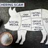 Cryptocurrency ‘pig butchering' scam wrecks Kansas bank, sends ex-CEO to prison for 24 years