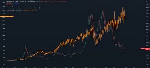 Bitcoin rally boosts Tesla’s 2024 Q4 net income by $600 million - CryptoSlate