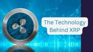 The Technology Behind XRP And Its Practical Applications XRP Technology: Guide to Its Applications - The Crypto Basic