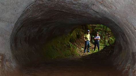 Brazil's mysterious tunnels made by giant sloths