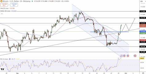 Bitcoin Eyes $120K if Weekly Close Holds Above $114K