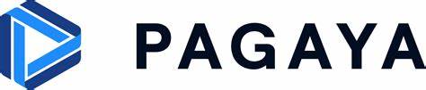 Pagaya Technologies (PGY): A Bull Case Theory