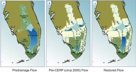 Should We Drain the Everglades?