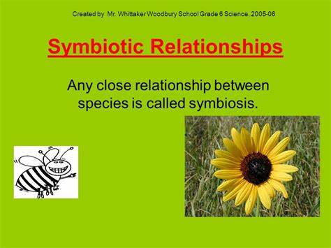 Symbiosis as Metaphor