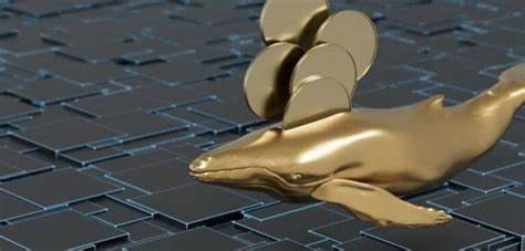 Crypto Whales Are Stacking These Coins During the Dip! - Coinpedia Fintech News