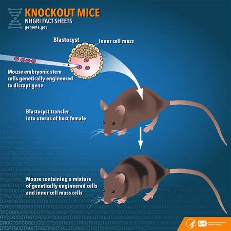 Knockout Mouse