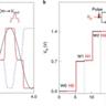 Silicon-based reconfigurable and programmable all-optical signal processing chip