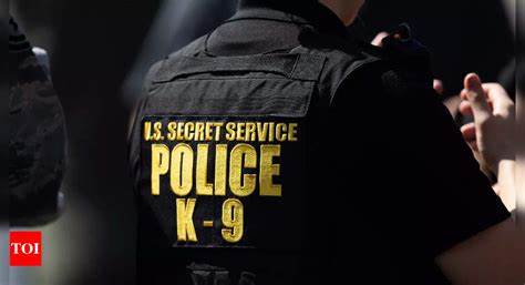 Nearly $100 billion stolen in pandemic relief funds, Secret Service says
