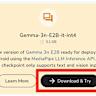 Gemma 3n: The Developer Guide
