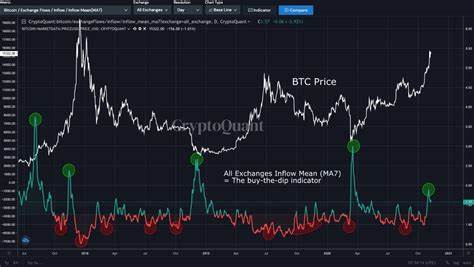 Bitcoin’s Key Indicator Flashes Again: Could a Major Bull Rally Be on the Horizon - The Currency Analytics