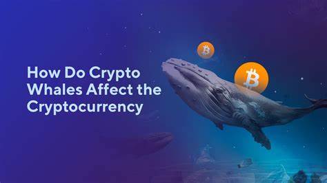 Why Crypto Market is Up Today? Whale Activity Triggers $2.38T Market Rally - Coinpedia Fintech News