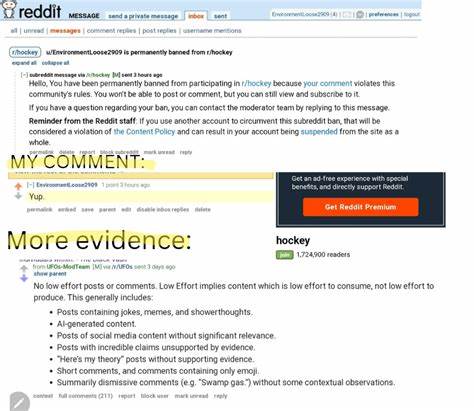Reddit is the front page of the dead internet