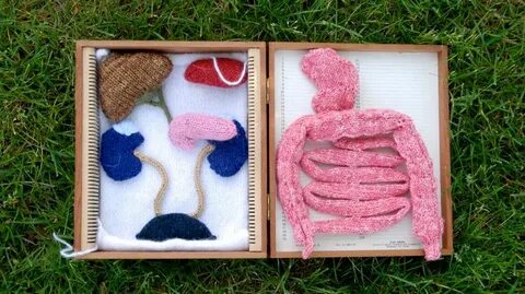 Knitted Anatomy