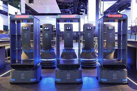 RoboRentals