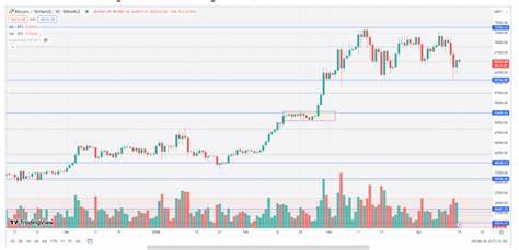 Crypto market rebounds as Bitcoin recovers from Iran-Israel tensions - The Economic Times