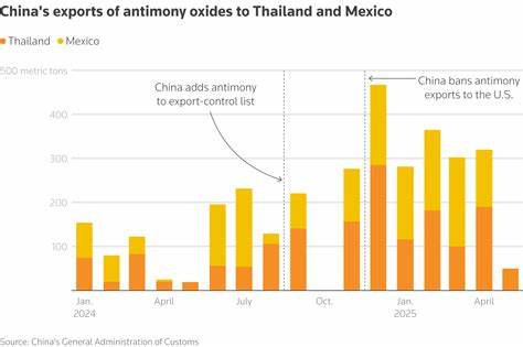 US buyers of critical minerals bypass China's export ban