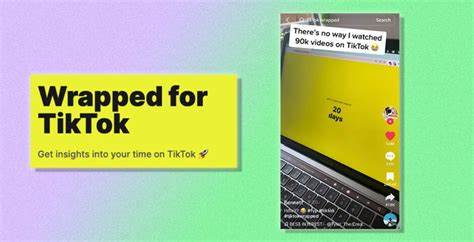 I watched 46,391 TikToks – so I built TikTok Wrapped to track it