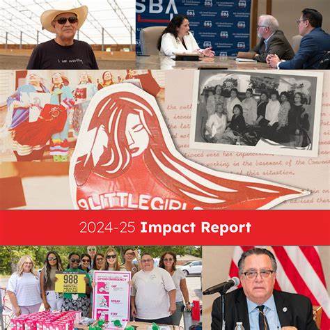 Our 2024 Annual Impact Report – Django Project