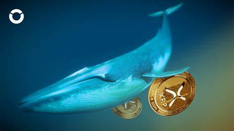 Whale Accumulation Continues as These 50x Altcoins Gain Steam: ADA, RBLK, and XRP - Cryptodnes.bg