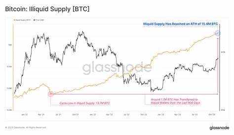 Bitcoin supply held by long-term holders hits all-time high — Research