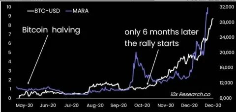 Bitcoin business will lose billions in the halving - Sherwood News
