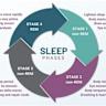 REM sleep: what is it good for