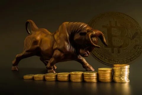 Bitcoin bulls stampede above $65k as rate cut hopes boost markets, lift the Dow, S&P, and gold to record highs - Kitco NEWS