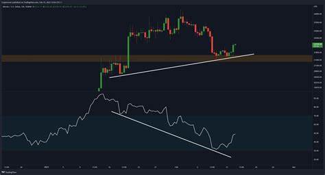 Crypto Rover Identifies Bullish Divergence in Altcoins - Blockchain.News
