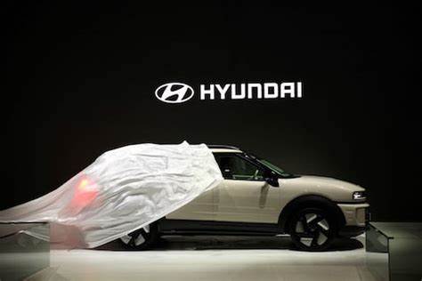 Hyundai Motor warns of bigger hit from US tariffs after Q2 profit fall