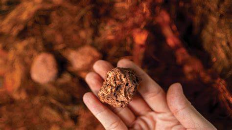 Cygnus Metals to raise $11.8m for Canadian copper-gold project
